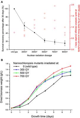 Enhancing Photosynthetic Characterization and Biomass Productivity of Nannochloropsis Oceanica by Nuclear Radiation